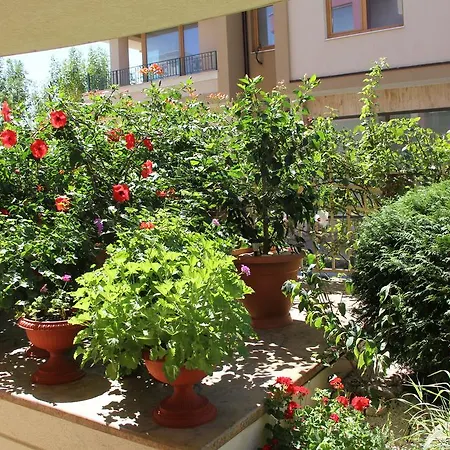 Apartamento Club Complex *