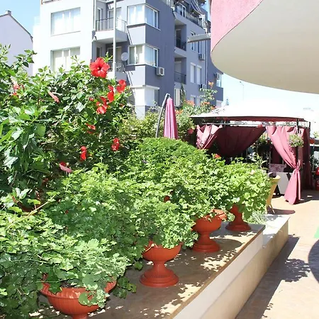 Apartamento Club Complex *