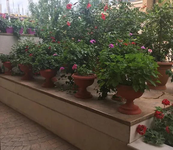 Club Complex * 네세부르