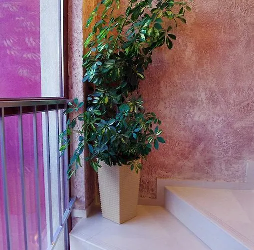 кабана бийч клуб комплекс * Несебър